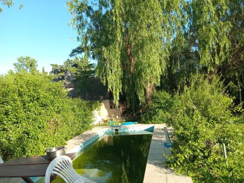 une piscine dans un jardin avec un banc et des arbres dans l'établissement ML, à Navarro