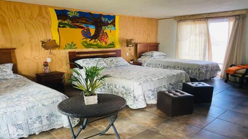 a bedroom with two beds and a table with a potted plant at Hostal Harepakoba in Hanga Roa