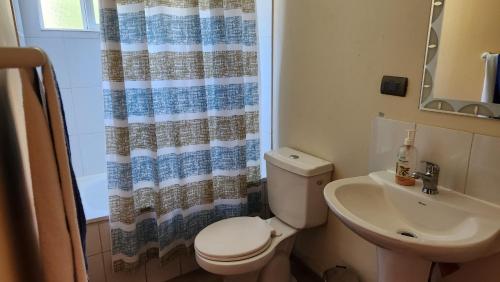 a bathroom with a toilet and a sink and a shower curtain at Casa Nueva en Condominio Tranquilo in Osorno