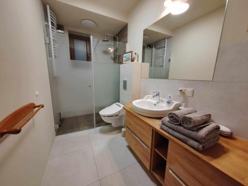 a bathroom with a sink and a toilet and a mirror at Akacja Apartament in Rzeszów
