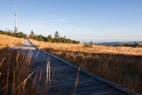 a wooden path in a field with tall grass at Ferienhaus The Himmelsteig in Sasbachwalden