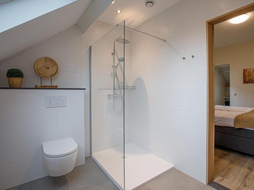 uma casa de banho com uma cabina de duche em vidro e um WC. em Barn24 - The Stable & The Loft em Roggel