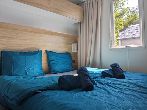 - une chambre avec un lit doté d'oreillers bleus et d'une fenêtre dans l'établissement Modern 6P Tiny SolHouse 6 - Near Groningen, à Kropswolde