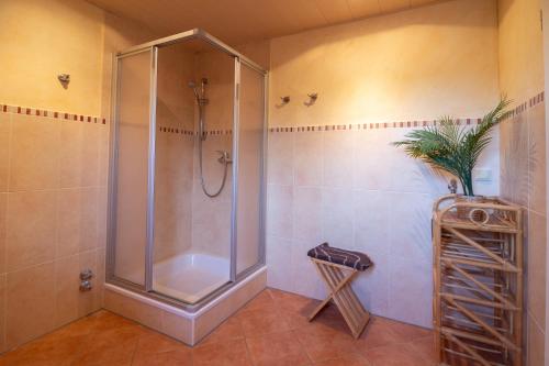 a shower with a glass door in a bathroom at Landruhe in Dreschvitz