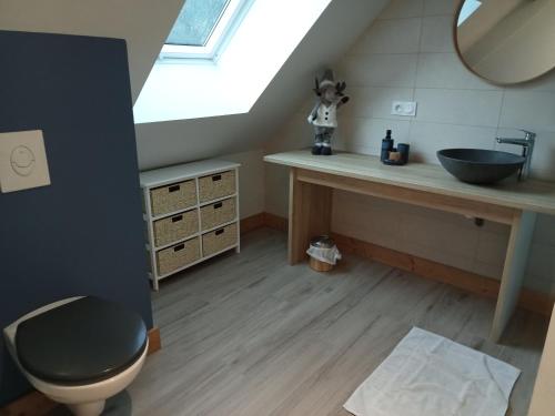 ein Badezimmer mit einem Waschbecken, einem WC und einem Spiegel in der Unterkunft la grande ourse in Planay