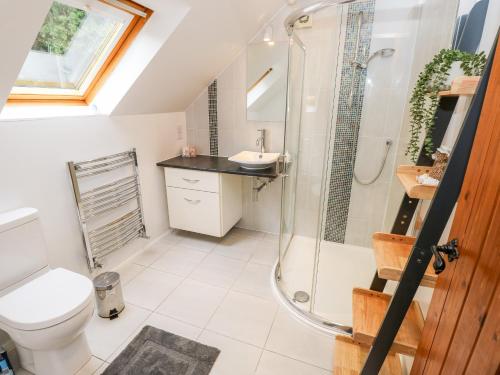 a bathroom with a shower and a toilet and a sink at Northern Byre in Christchurch