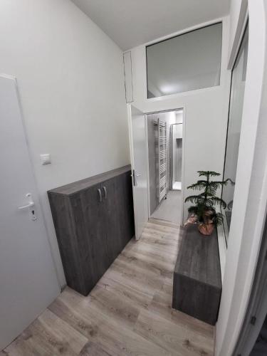 a hallway with a potted plant on a wooden floor at Apartmán Nová Baňa in Nová Baňa