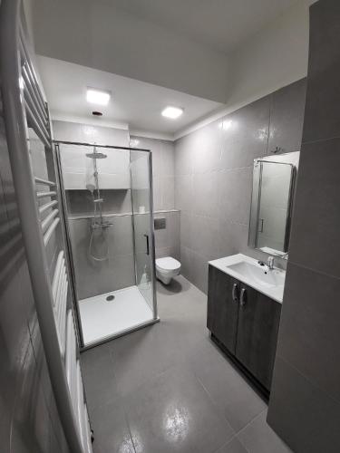 een badkamer met een douche, een wastafel en een toilet bij Apartmán Nová Baňa in Nová Baňa