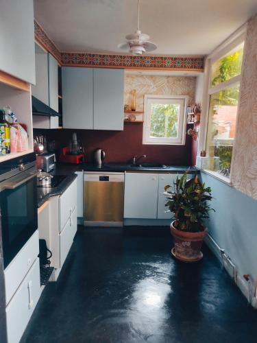 une cuisine avec des armoires blanches et une plante en pot dans l'établissement Jolie Maison en Bois Authentique, à Dunkerque