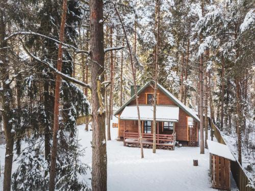 a log cabin in the woods in the snow at Jarzębinowa - Dom do wynajęcia na Podlasiu in Łuka