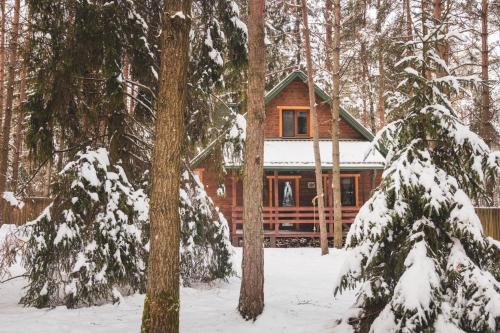 a log cabin in the woods in the snow at Jarzębinowa - Dom do wynajęcia na Podlasiu in Łuka