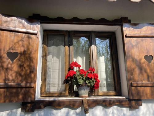 a window with a vase with red flowers on it at Casa Soarelui in Murighiol