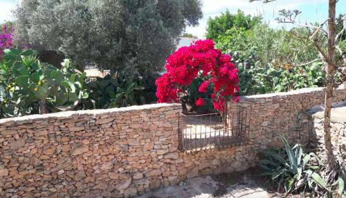 Gallery image of Can Toni Platera in Sant Francesc Xavier