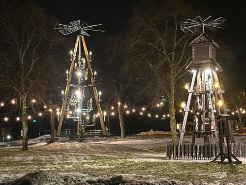 two christmas trees in a park at night at Gasthof und Pension Hammerschänke in Wildenthal