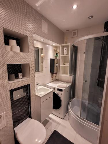a bathroom with a sink and a toilet and a shower at Apartament pod szczęśliwą 13 in Toruń