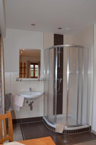 a bathroom with a shower and a sink at Gästezimmer Peterbauer in Dorfgastein