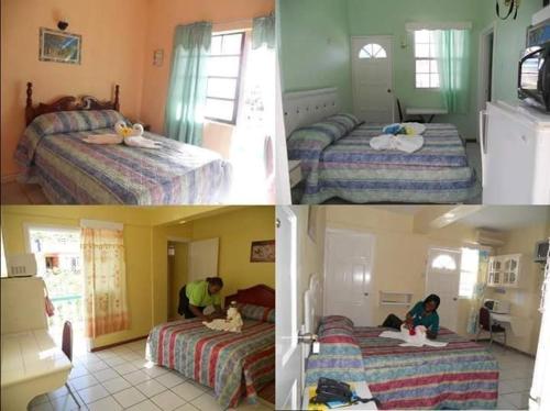 Stephanie's Apartments Ltd. – Photos 3