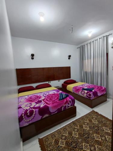 two beds in a bedroom with purple blankets at Jamaica Guest House in Aswan