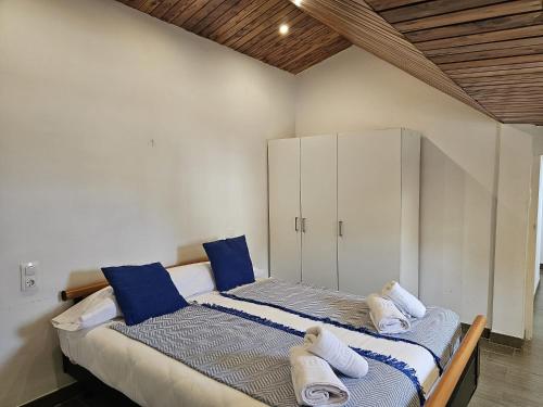 シエラネバダにあるIMEDA PENIBETICO con vistas Sierra Nevadaの青い枕が備わる客室内のベッド2台