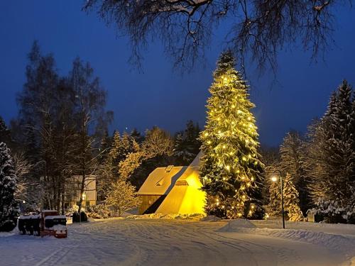 a christmas tree is lit up in the snow at Gasthof und Pension Hammerschänke in Wildenthal