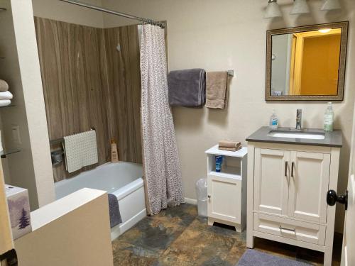 een badkamer met een bad, een wastafel en een douche bij Desert retreat close to downtown/ U of A, 1-10 in Tucson