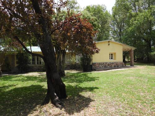 Estancia Los Arboles – Photos 2