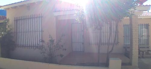 El abuelo del mar1
