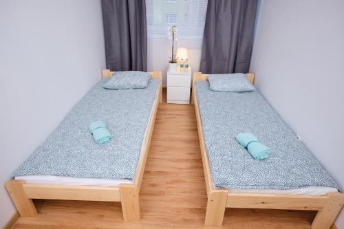 オポーレにあるApartament Słoneczny 12の青い枕が備わる客室内のベッド2台