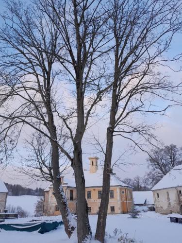 dos árboles frente a una casa en la nieve en zámek Nemilkov en Velhartice