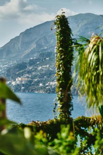 a view of the ocean with a palm tree at Hotel Botanico San Lazzaro in Maiori
