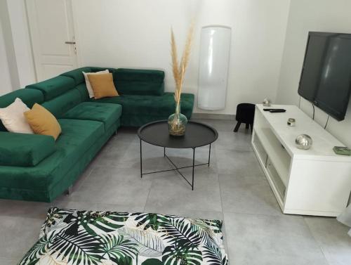 a living room with a green couch and a tv at Maison 115 m 2 avec Jardin in Carignan