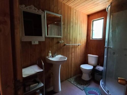 y baño con lavabo y aseo. en Acogedora cabaña en Caburgua, en Pucón