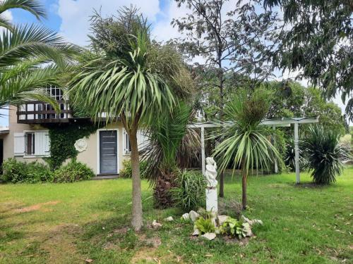 een huis met twee palmbomen in de tuin bij ROMFER II in San Eduardo del Mar