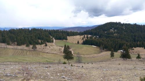 a view of a field with trees on a hill at Katun VRELA - Vergaševići in Bijelo Polje