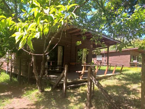 eine Blockhütte mit einer Veranda und einem Baum in der Unterkunft Cabaña Río Iculpe in Lago Ranco