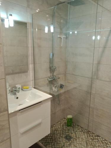 une salle de bain avec douche et lavabo dans l'établissement APPARTEMENT AU CALME, à Menton