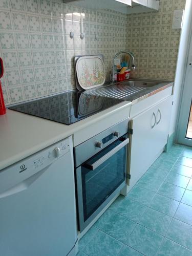 une cuisine avec un évier et une cuisinière four supérieur dans l'établissement APPARTEMENT AU CALME, à Menton