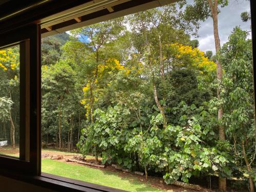 a window with a view of a bush at Casa Cacau Boutique B&B - Sítio Salamandra Vale do Matutu in Aiuruoca