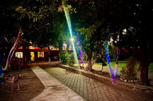 a beam of light shining through some trees at night at Hotel Posada Andaluz in Xochitepec