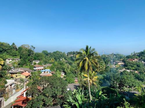 una ciudad con una palmera en un bosque en 中国蒲公英民宿Dandelion Guest house Villa with Mount View, en Kandy
