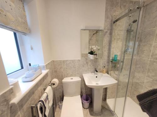 a bathroom with a shower and a toilet and a sink at BriValley View in High Bickington