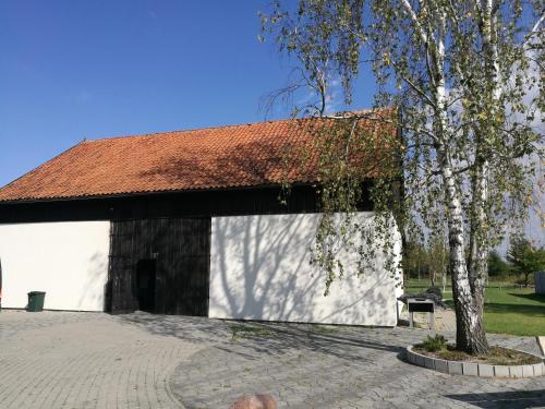 a white barn with a red roof and a tree at Jarzębinowy Agroturystyka in Braniewo