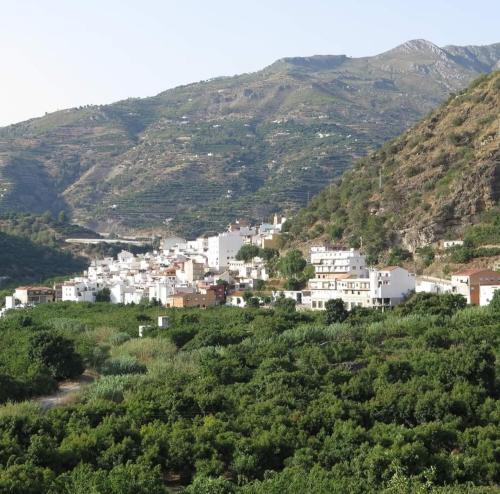 een klein stadje op een heuvel met bomen en huizen bij Villa Emilia in Jete