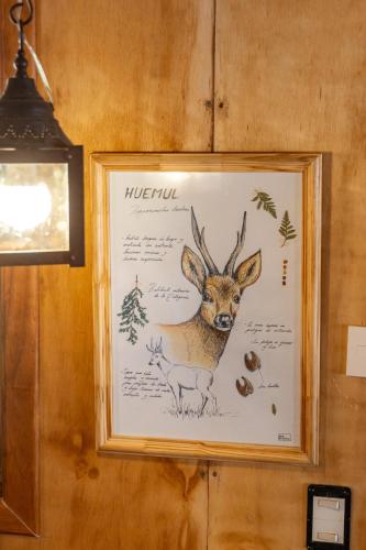 Wild Cabañas Boutique – Photos 3
