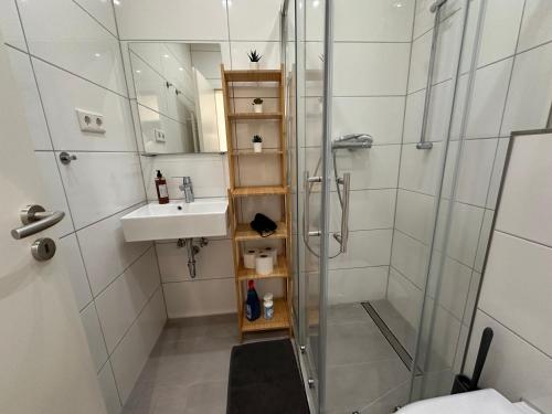 y baño con ducha y lavamanos. en Schöne, moderne Wohnung mit Waldblick & Parkplatz en Melle