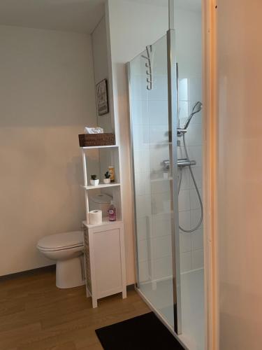 a bathroom with a toilet and a glass shower at Le jardin de Broceliande in Ploërmel