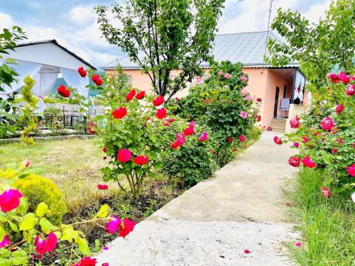 a garden with flowers and a walkway at AkbA-Frame1 in İsmayıllı