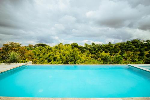 a large blue swimming pool with trees in the background at Finca Nuevo Monarca in Pereira