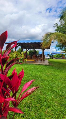 a park with a gazebo in the grass at Finca Nuevo Monarca in Pereira