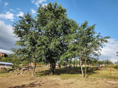 Villa Nicolasa – Photos 2